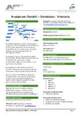 Reindrift - Årstidsbeite - Vinterbeite